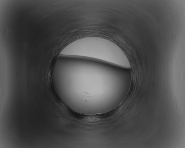 X0000099570327200805160731