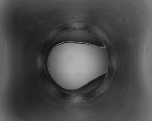 X0000099570328200805160731