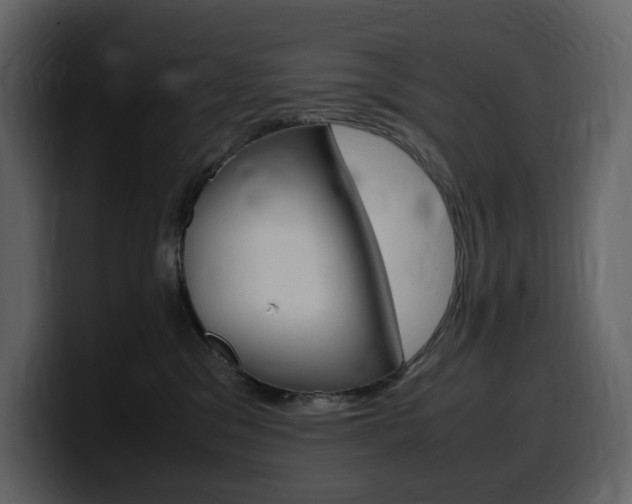 X0000099570329200805160731