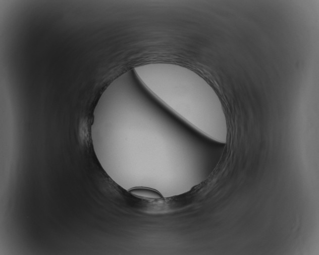 X0000099570335200805160731