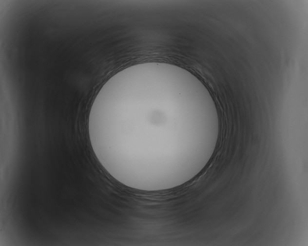 X0000099570336200805160731