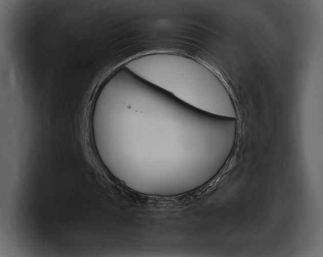 X0000099570337200805160730