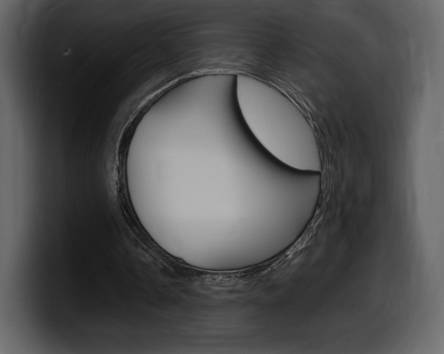 X0000099570338200805160730