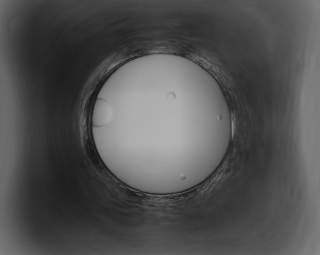 X0000099570339200805160730