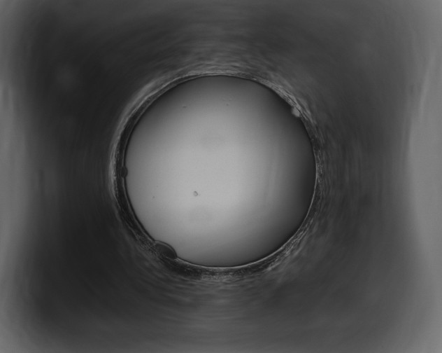X0000099570340200805160730