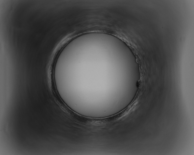 X0000099570341200805160730