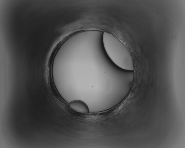X0000099570342200805160730