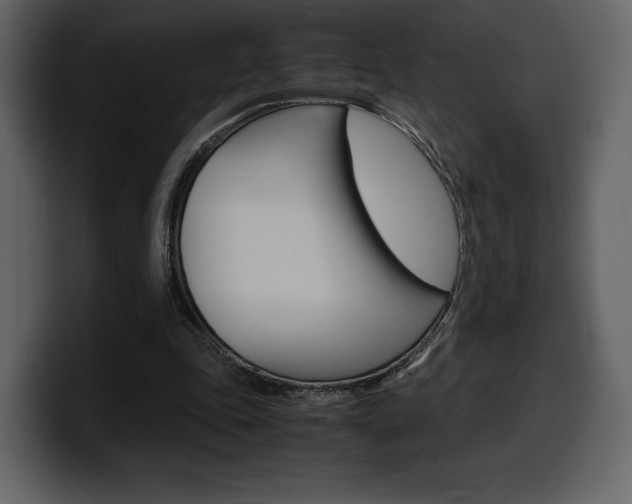 X0000099570343200805160730