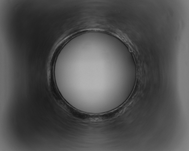 X0000099570344200805160730