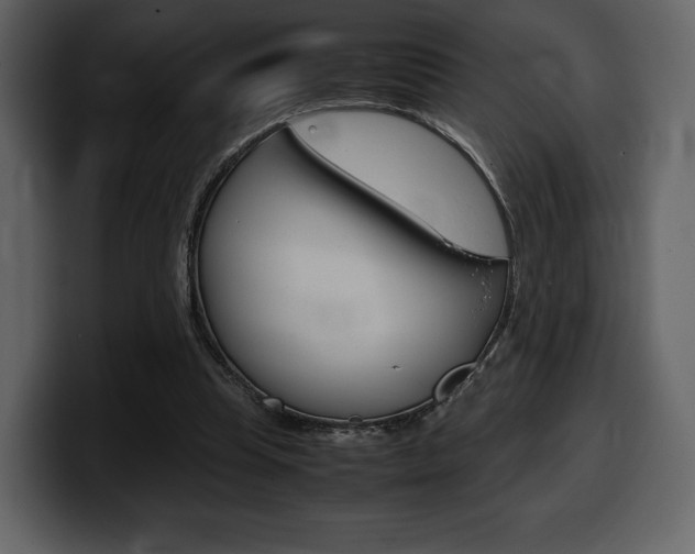 X0000099570345200805160730