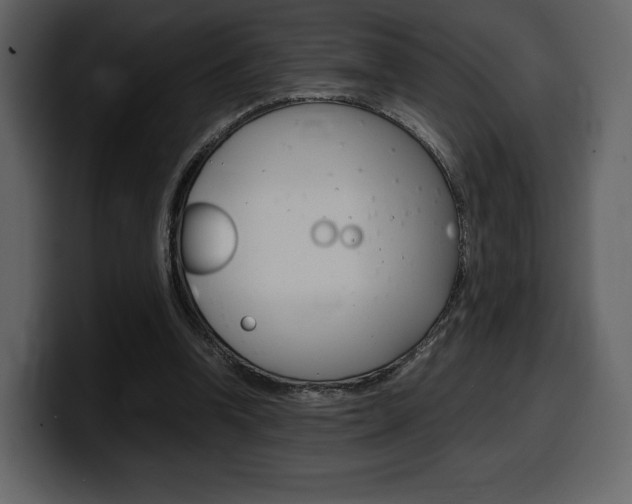 X0000099570346200805160730