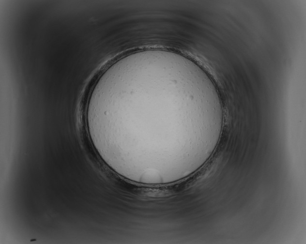 X0000099570347200805160730