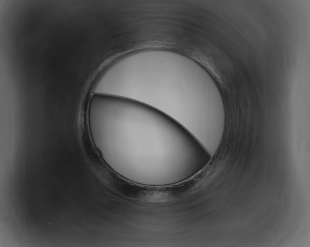 X0000099570348200805160730