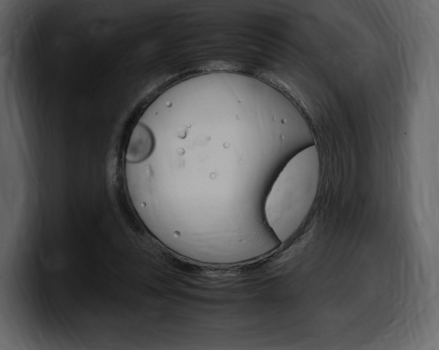 X0000099570351200805160730