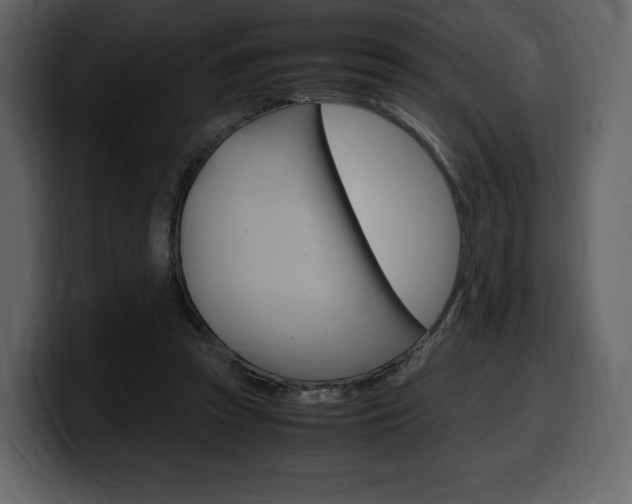 X0000099570353200805160730