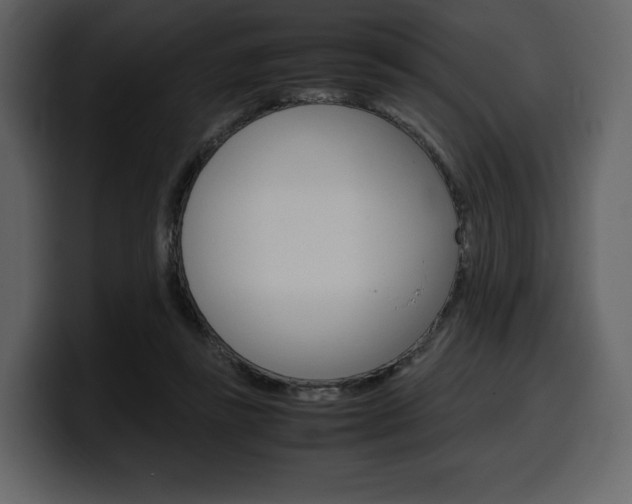 X0000099570355200805160730