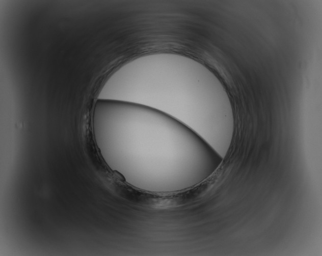 X0000099570356200805160730