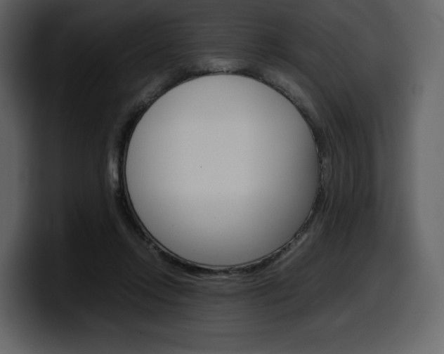 X0000099570358200805160730