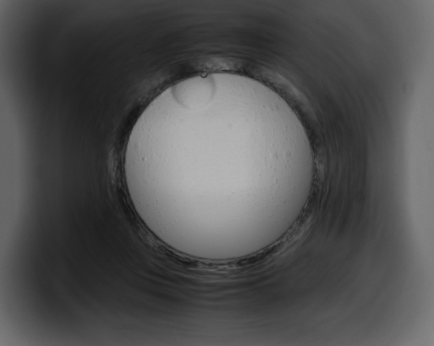 X0000099570359200805160730