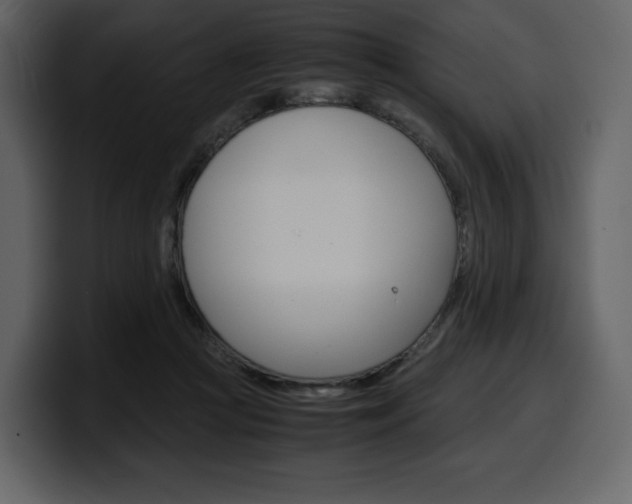 X0000099570361200805160730