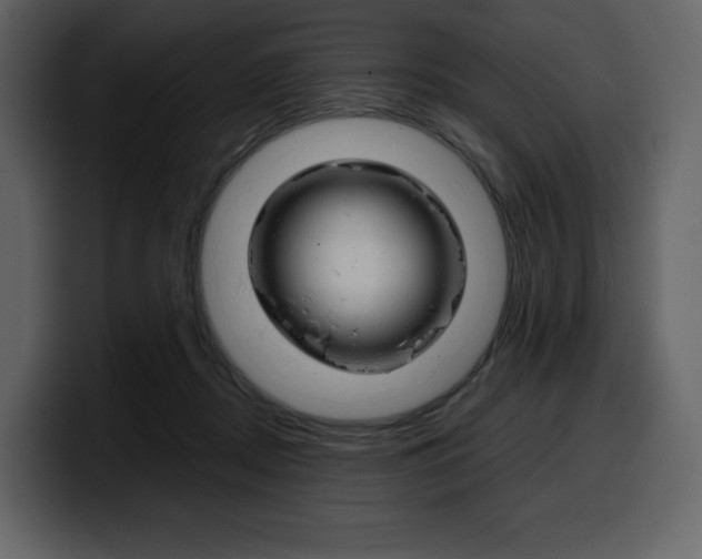 X0000099570362200805160730