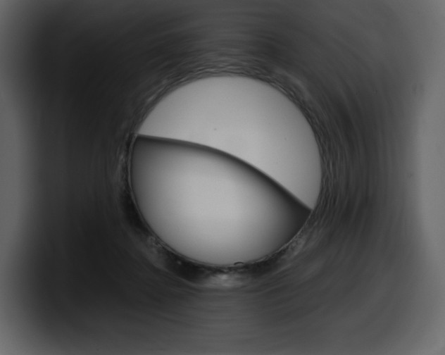 X0000099570364200805160730