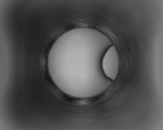 X0000099570365200805160730
