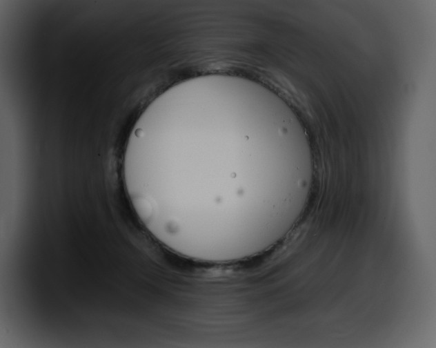 X0000099570366200805160730