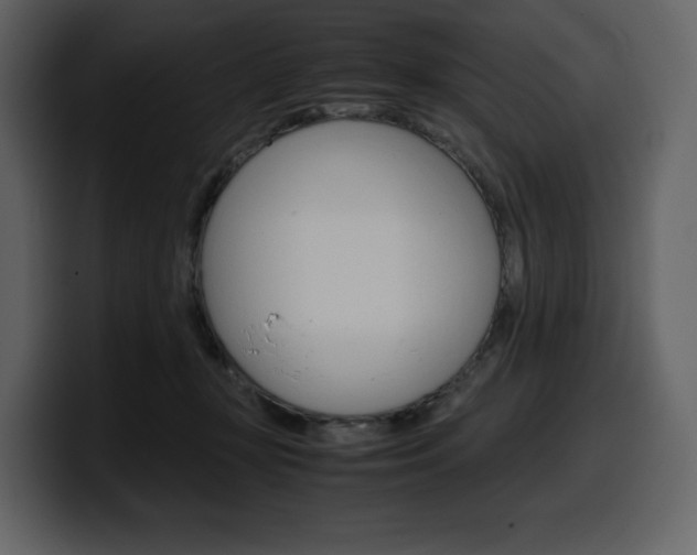 X0000099570367200805160730
