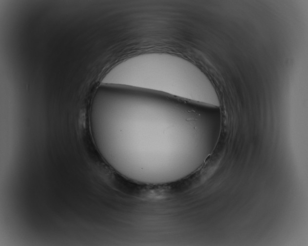 X0000099570368200805160730