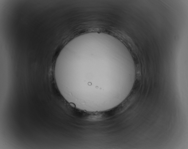 X0000099570369200805160730