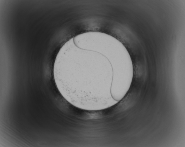 X0000099570370200805160730