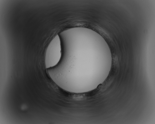 X0000099570373200805160730
