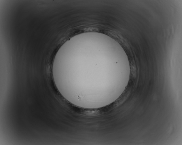 X0000099570375200805160730