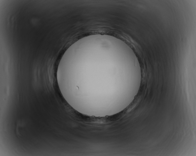 X0000099570377200805160730