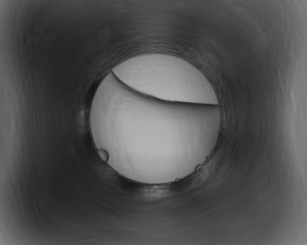 X0000099570378200805160730