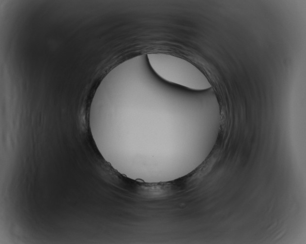 X0000099570381200805160730