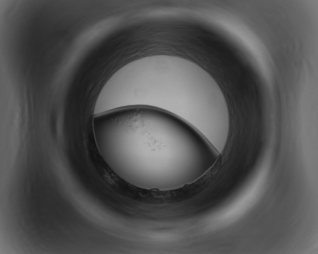 X0000099570382200805160731