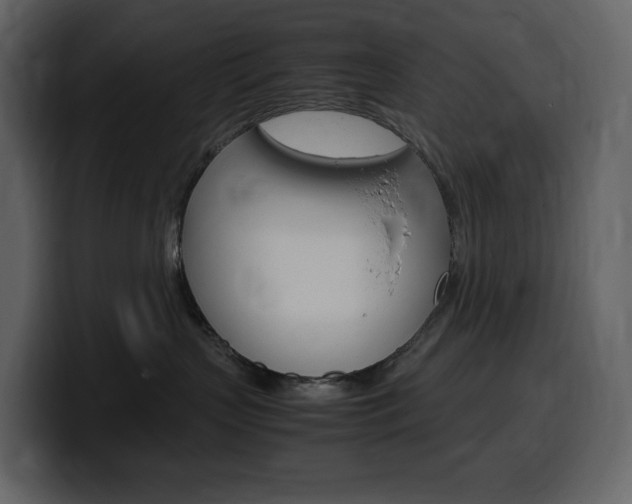 X0000099570383200805160731