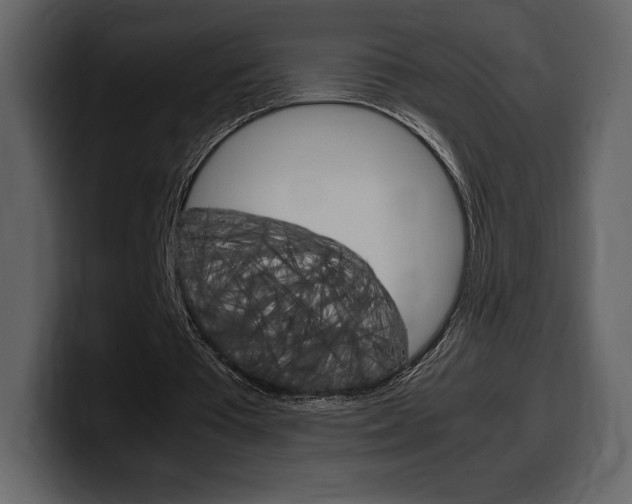 X0000099570385200805160730
