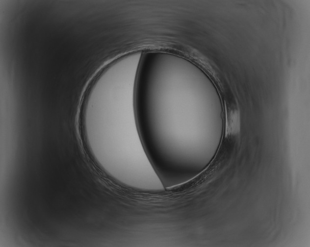 X0000099570387200805160730