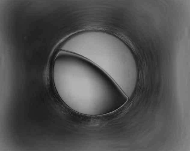 X0000099570388200805160730