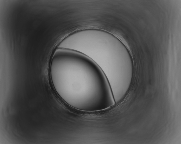X0000099570389200805160730