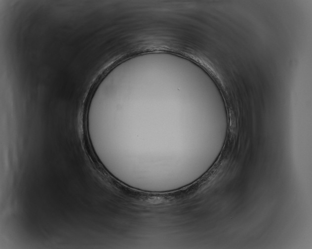 X0000099570390200805160730