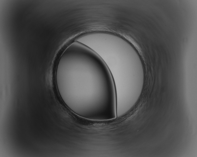 X0000099570391200805160730