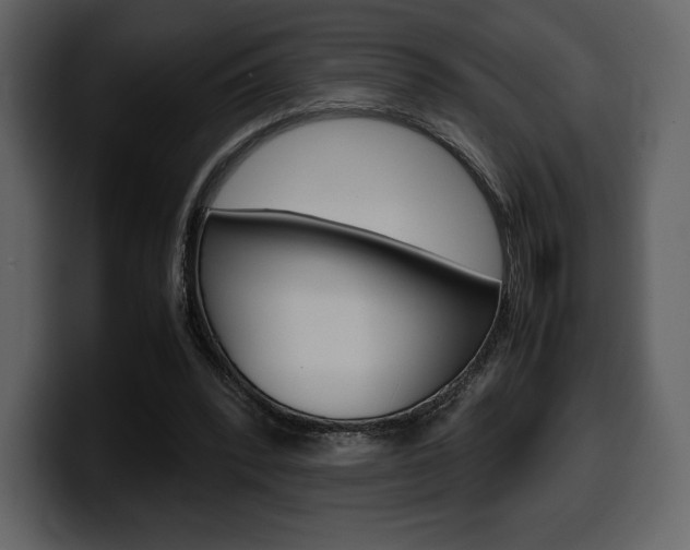 X0000099570392200805160730