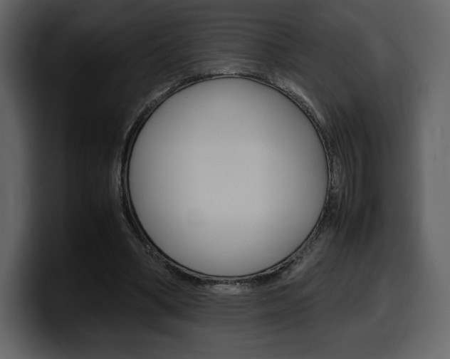 X0000099570394200805160730