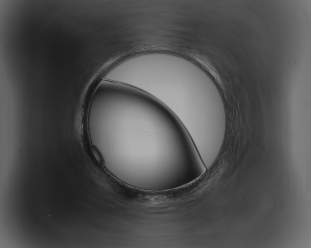 X0000099570395200805160730