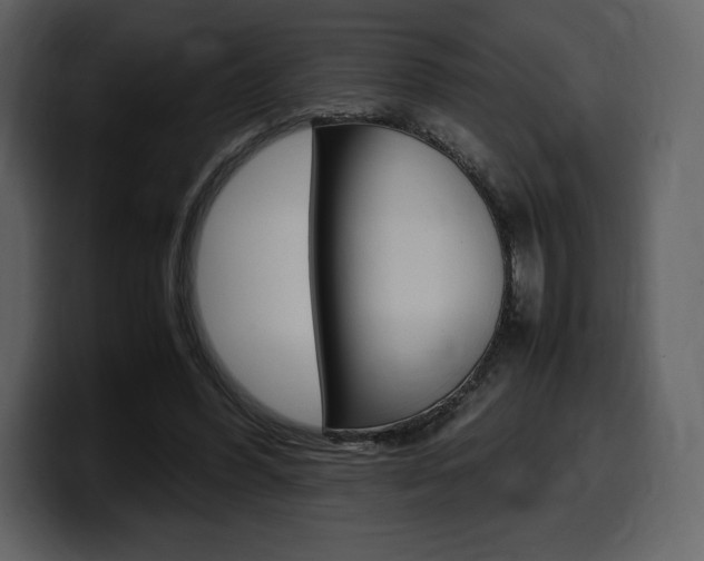 X0000099570396200805160730