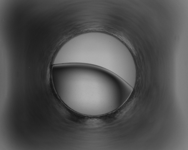 X0000099570397200805160730